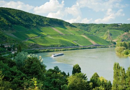 Blick auf den Bopparder Hamm